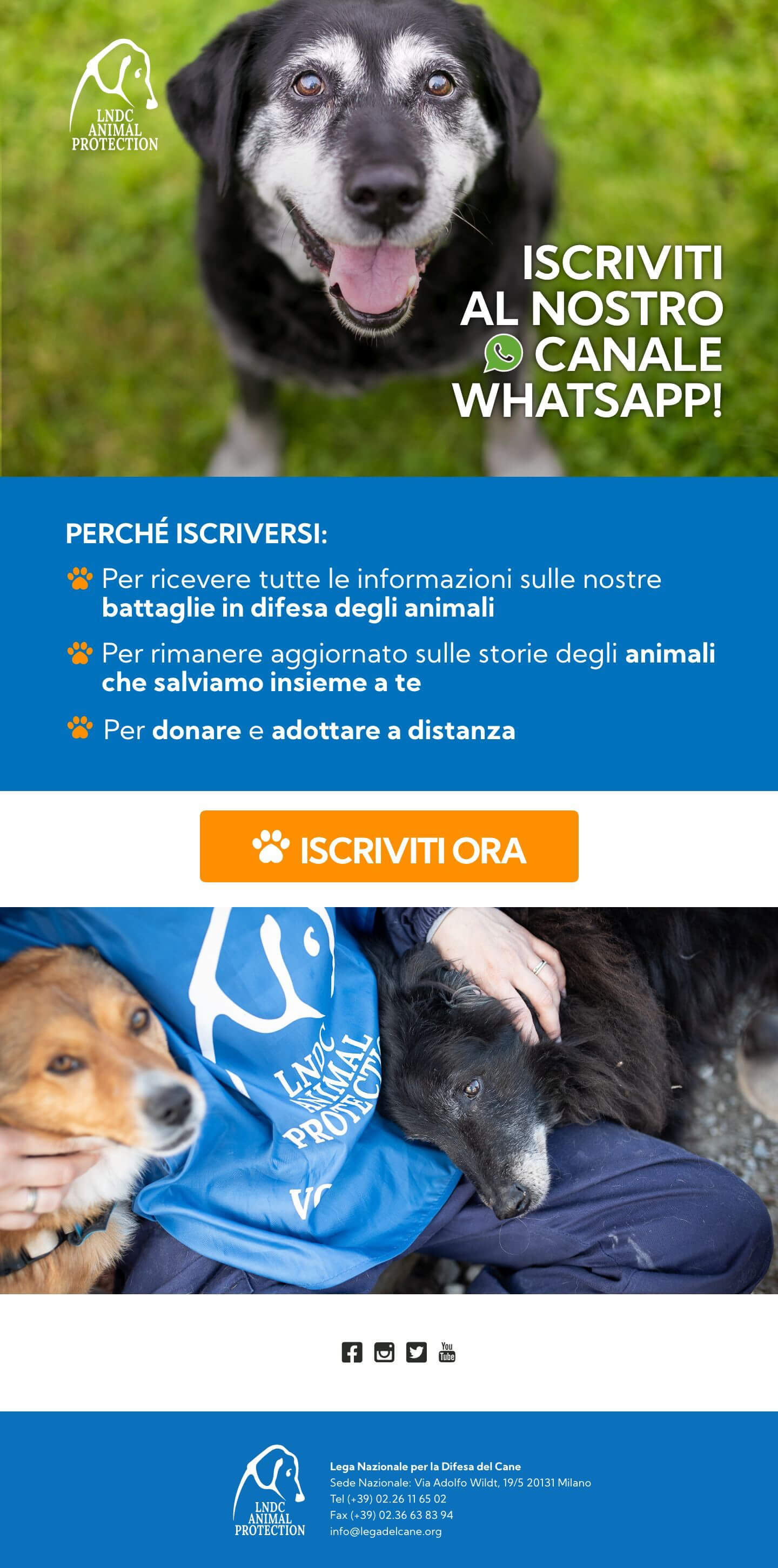 Iscriviti al canale Whatsapp di LNDC Animal Protection